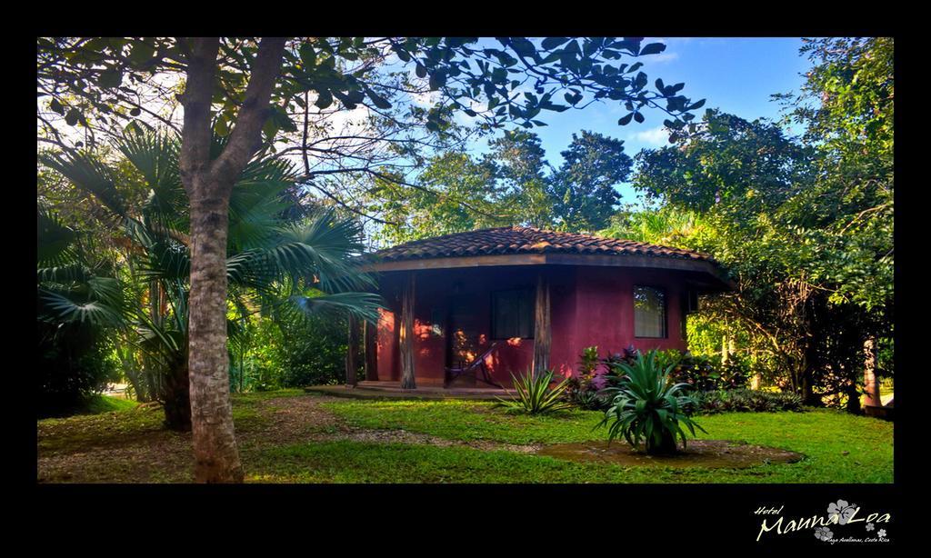 Hotel Mauna Loa Pinilla Номер фото