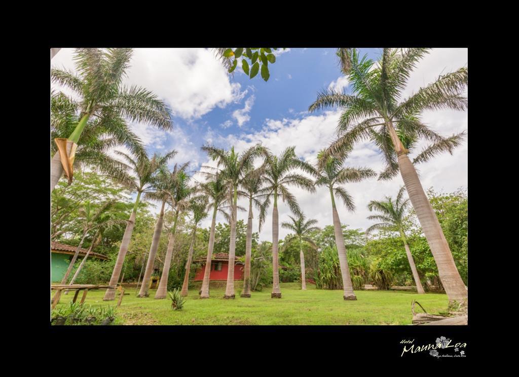 Hotel Mauna Loa Pinilla Экстерьер фото