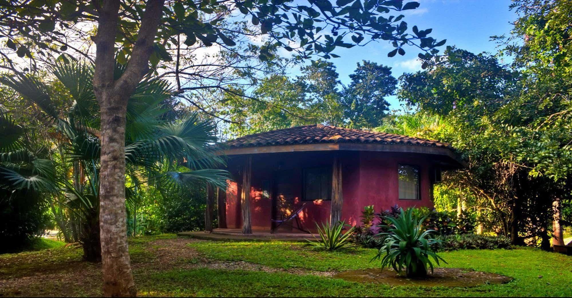 Hotel Mauna Loa Pinilla Экстерьер фото