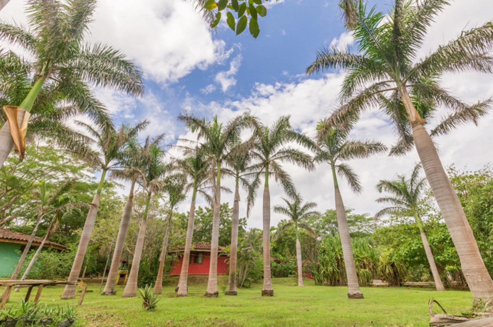 Hotel Mauna Loa Pinilla Экстерьер фото
